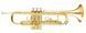 Труба MAXTONE TTC30L (TTC1C) 719297600481 фото 1