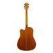 Акустическая гитара Toneberg TQ-L 719297602604 фото 2