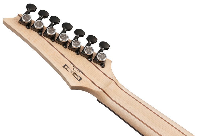Электрогитара Ibanez RGA217P1PB-DRL 719297602421 фото