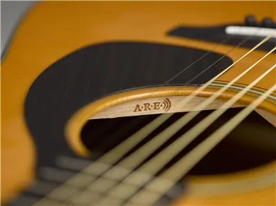 Yamaha Red Label ARE technology