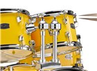 Yamaha Rydeen